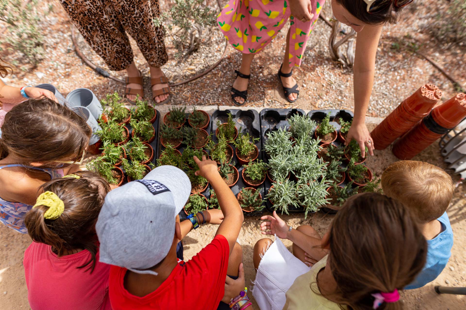 Snfcc Map The Nature Club | for families - SNFCC