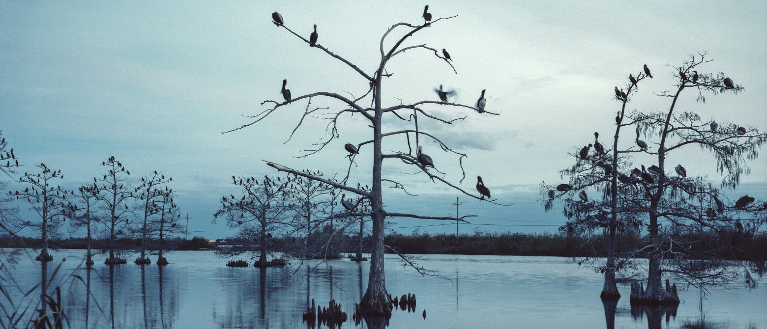 Mustafah Abdulaziz | WATER